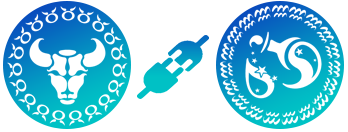 Compatibilidad de Tauro y Acuario